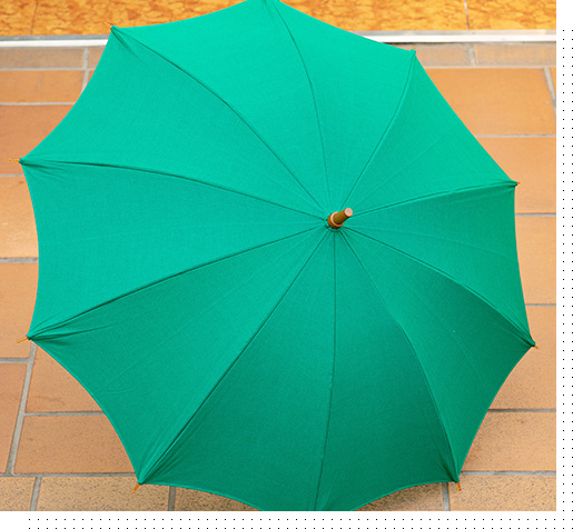女性用日傘