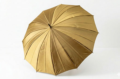 女性用傘
