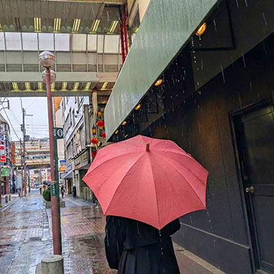 傘イメージ